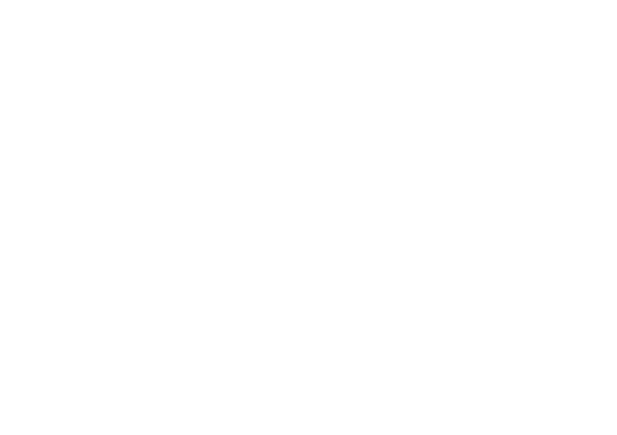 Poznańskie Muzeum Pyry